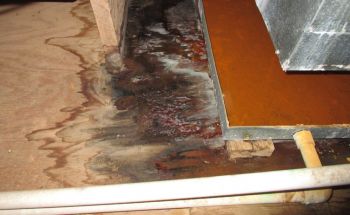 AC Leak Restoration in Murrysville, Pennsylvania by Firestorm Disaster Services, LLC